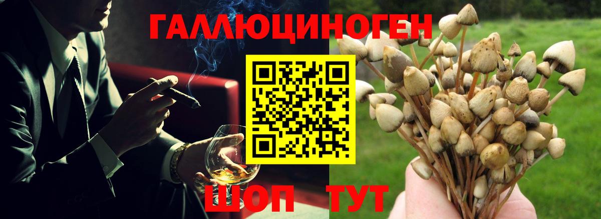 Псилоцибиновые грибы мицелий  Вход с VPN  Новороссийск 